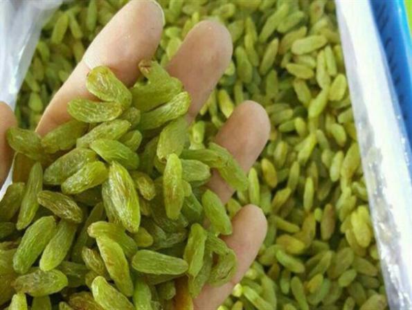 خرید کشمش سبزه زیر قیمت بازار