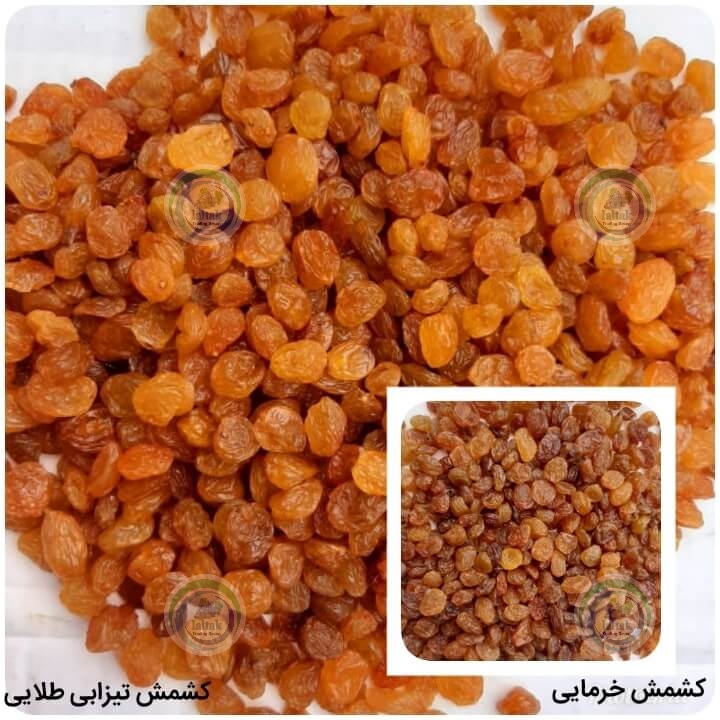 خرید کشمش تیزابی